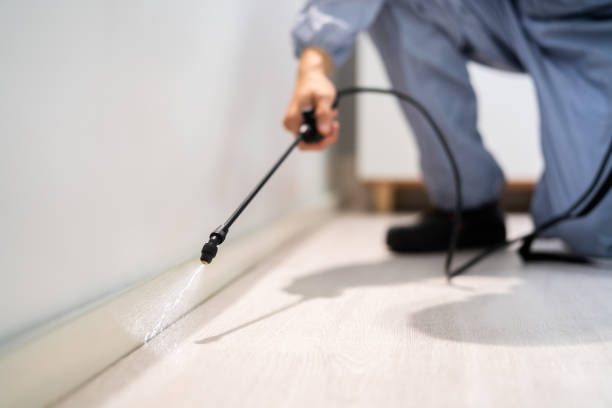 Rodent Entry Point Assessment in Prince George