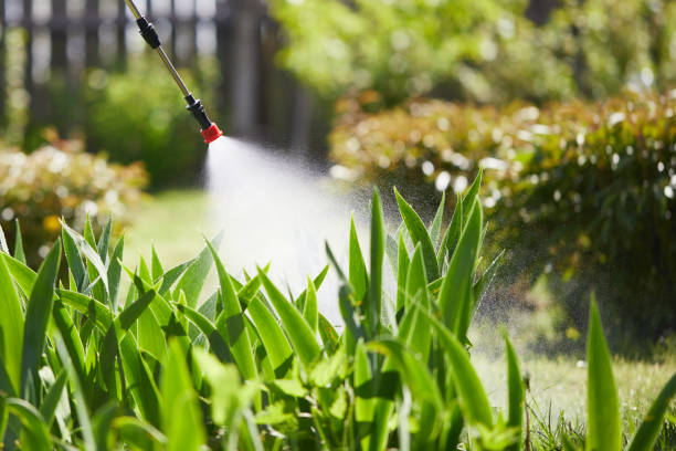 Tamper-Resistant Bait Stations for Rodents in Prince George