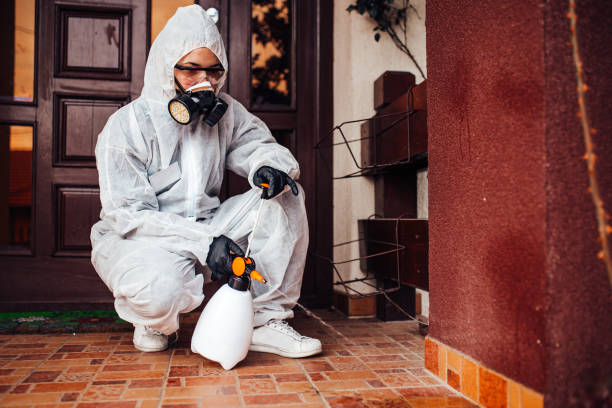 Attic and Crawl Space Rodent Treatment in Prince George